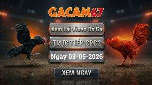Xem Lại Video Đá Gà CPC2 Ngày 03/05/2026