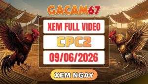 Xem Lại Video Đá Gà CPC2 Ngày 09/06/2026 Tại GACAM67