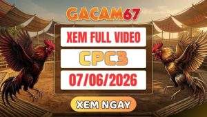 Xem Lại Video Đá Gà CPC3 Ngày 07/06/2026